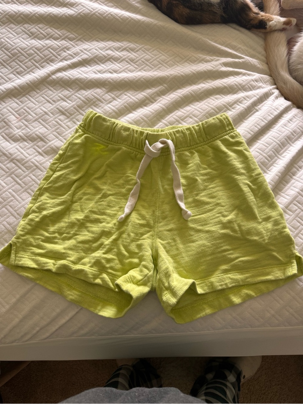 J. Crew Lime Green Drawstring Athletic Shorts